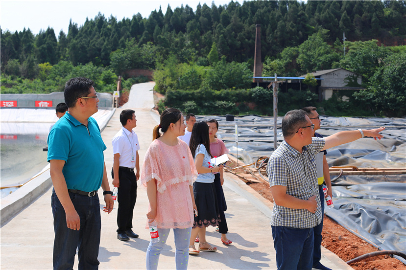 集團(tuán)第一檢查組檢查杰陽排水公司、固廢處置公司安全防汛和環(huán)保達(dá)標(biāo)各項工作3_副本